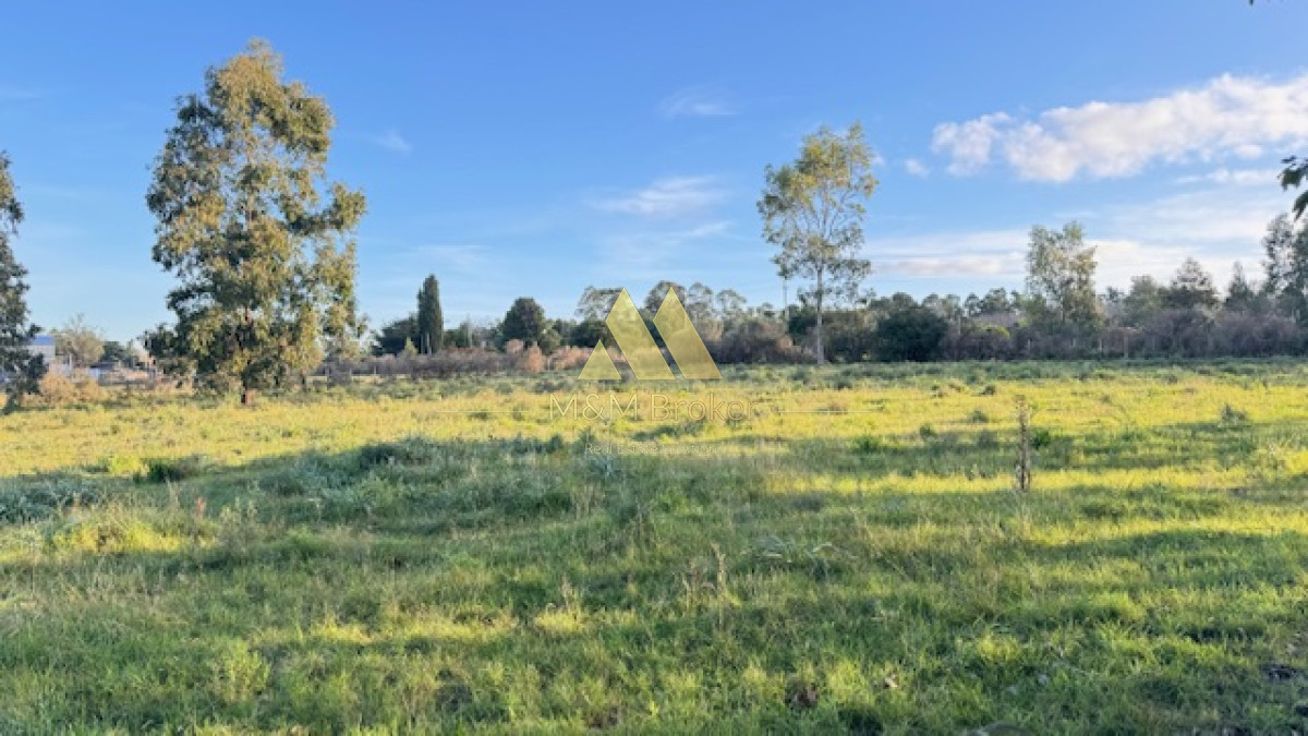 Campo Ref.385 - Chacra de 3 has con 5657 m2 en camino Benito Nardone