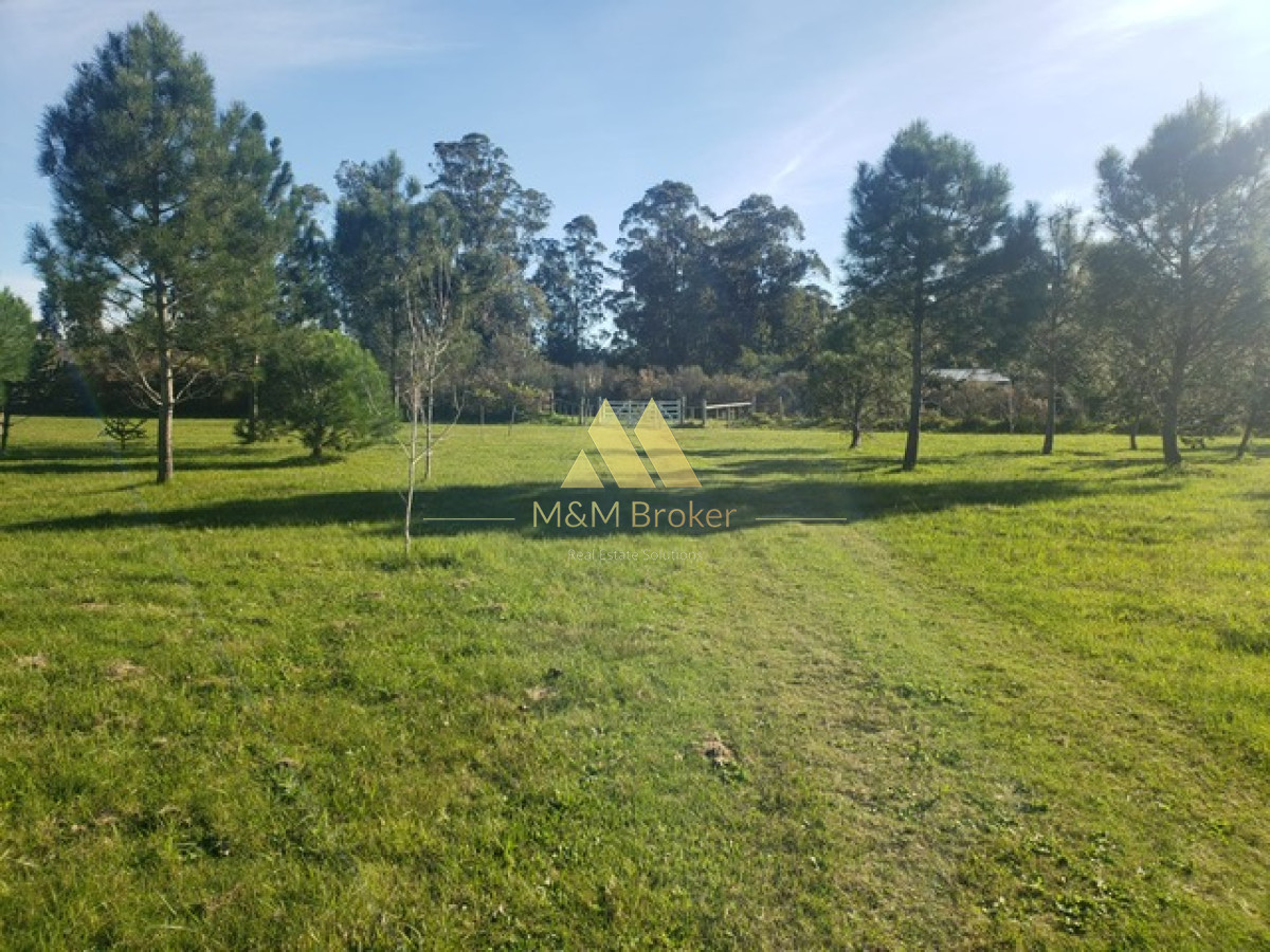 Campo Ref.385 - Chacra de 3 has con 5657 m2 en camino Benito Nardone