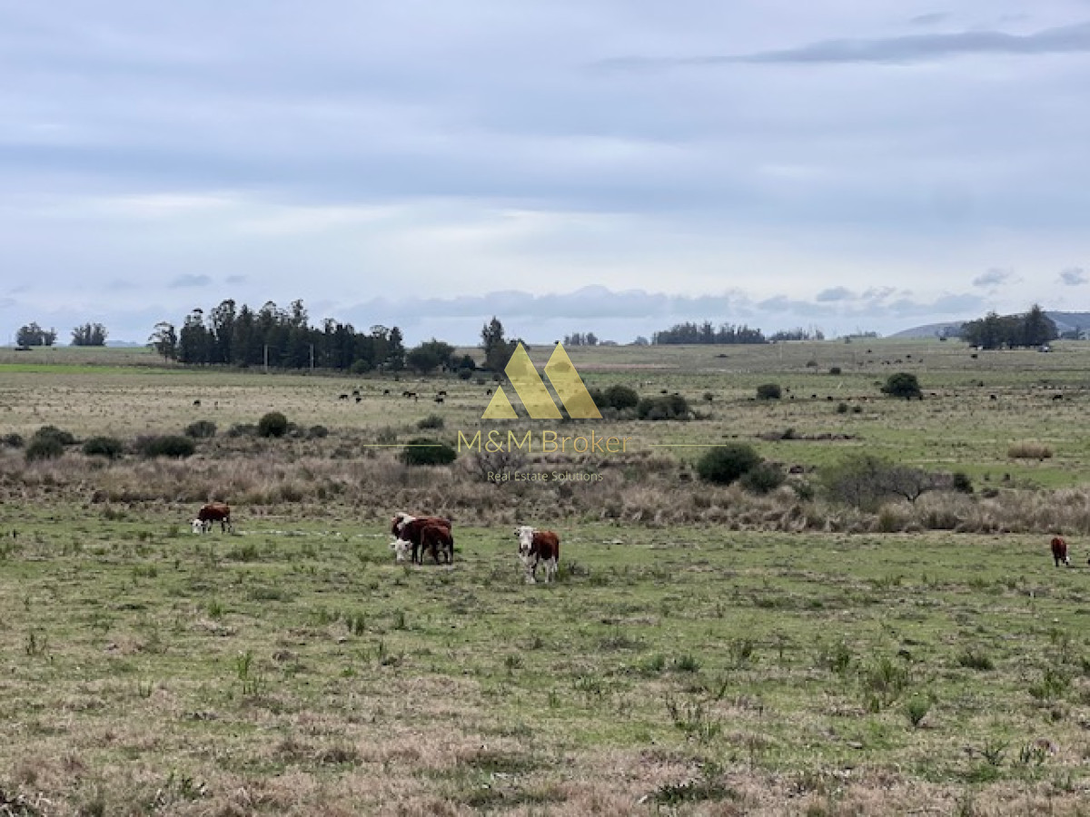 Campo Ref.348 - Campo de 22 has 6862 m2 cerca de Punta del Este