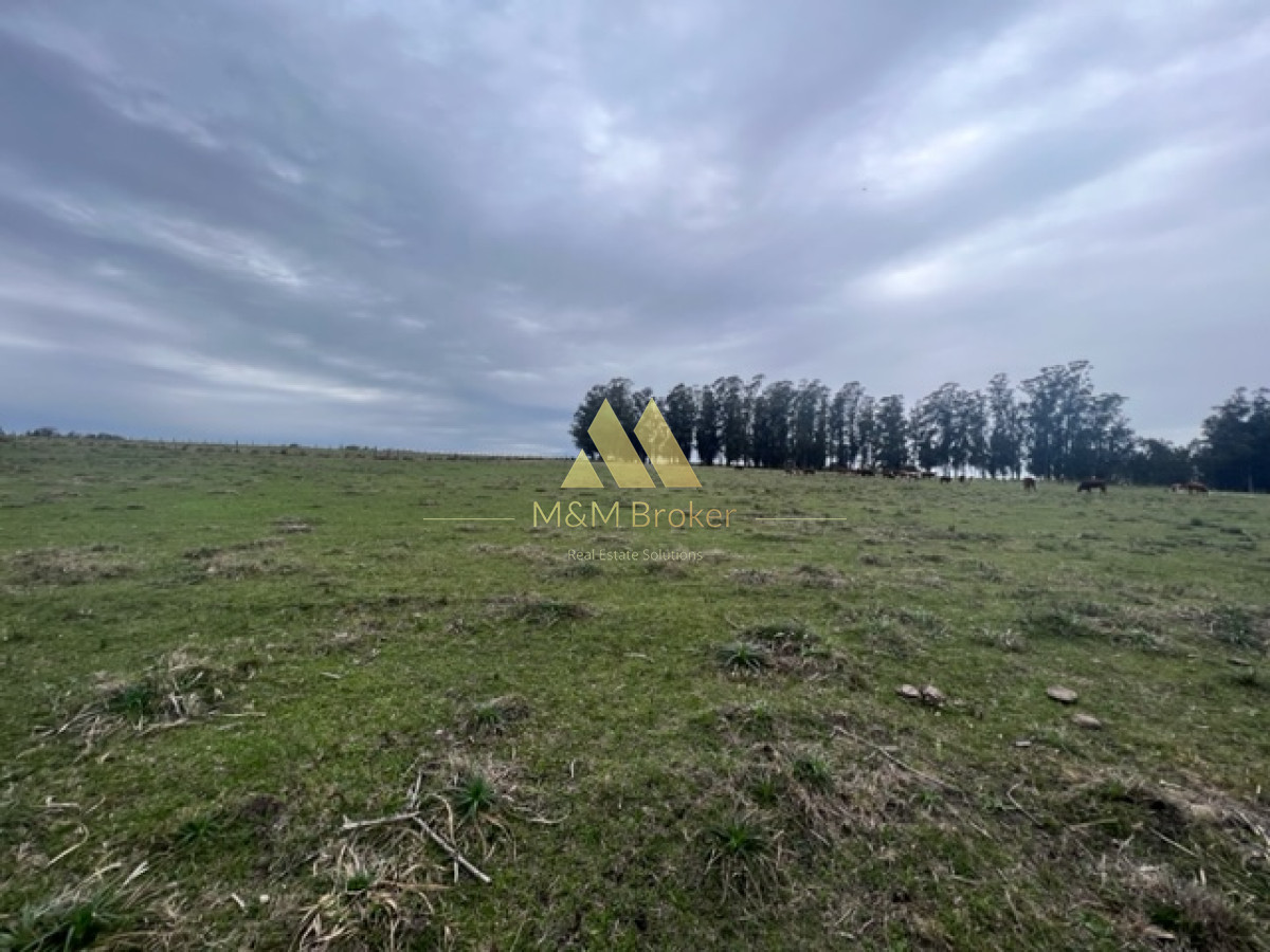 Campo Ref.348 - Campo de 22 has 6862 m2 cerca de Punta del Este