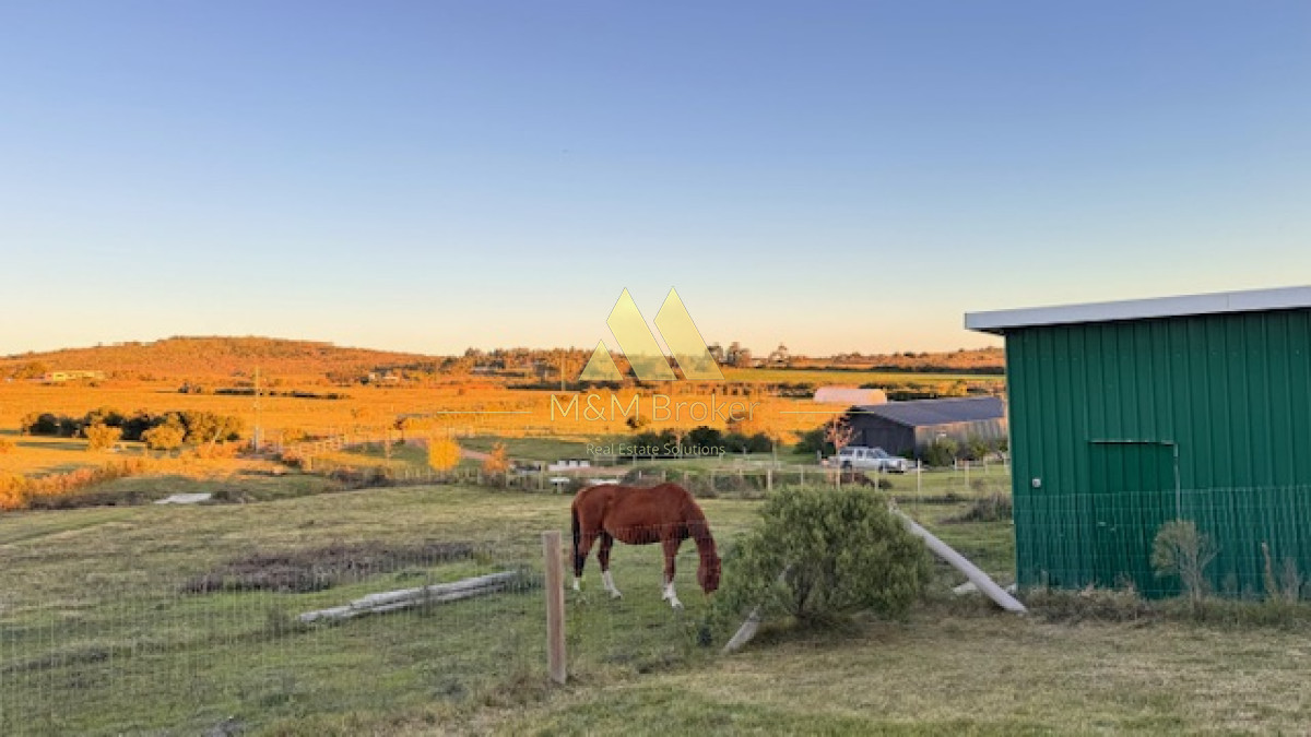 Campo Ref.375 - Chacra de 6 has con 664 m2 - cerca de Piriapolis y del parque de fauna natural