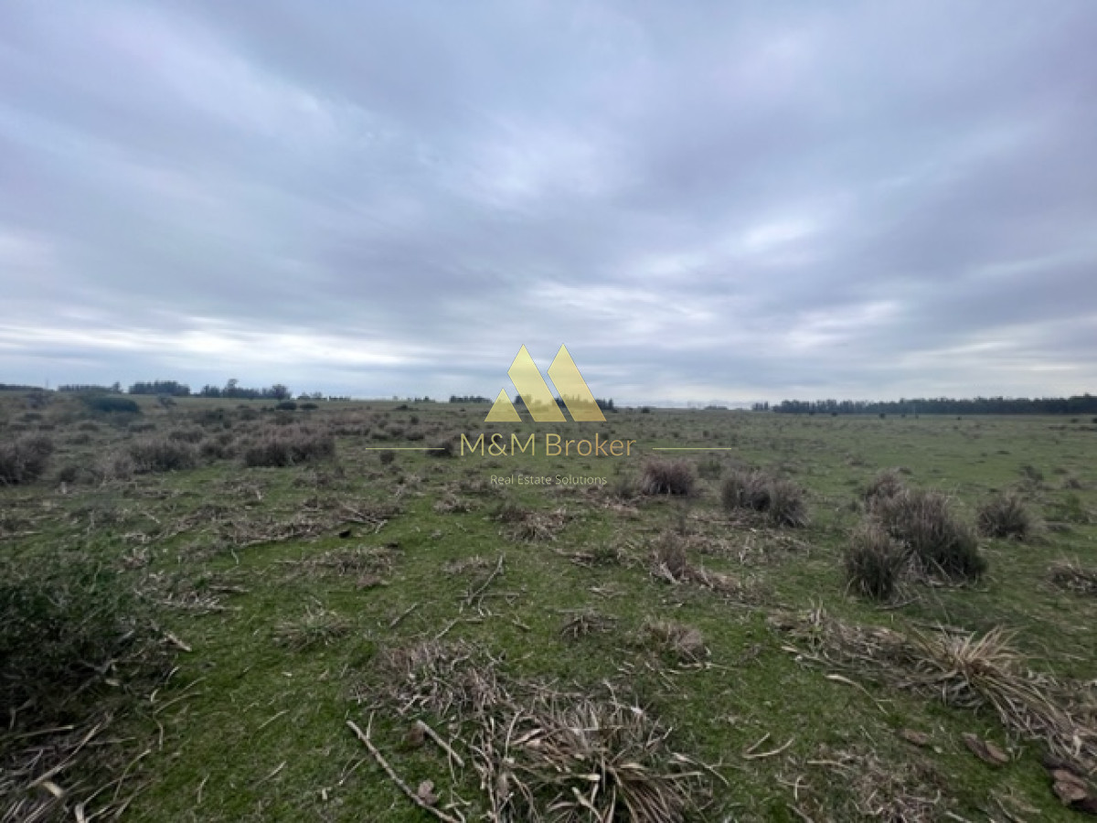 Campo Ref.348 - Campo de 22 has 6862 m2 cerca de Punta del Este