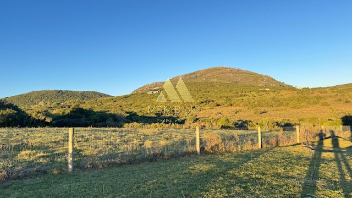 Campo Ref.375 - Chacra de 6 has con 664 m2 - cerca de Piriapolis y del parque de fauna natural