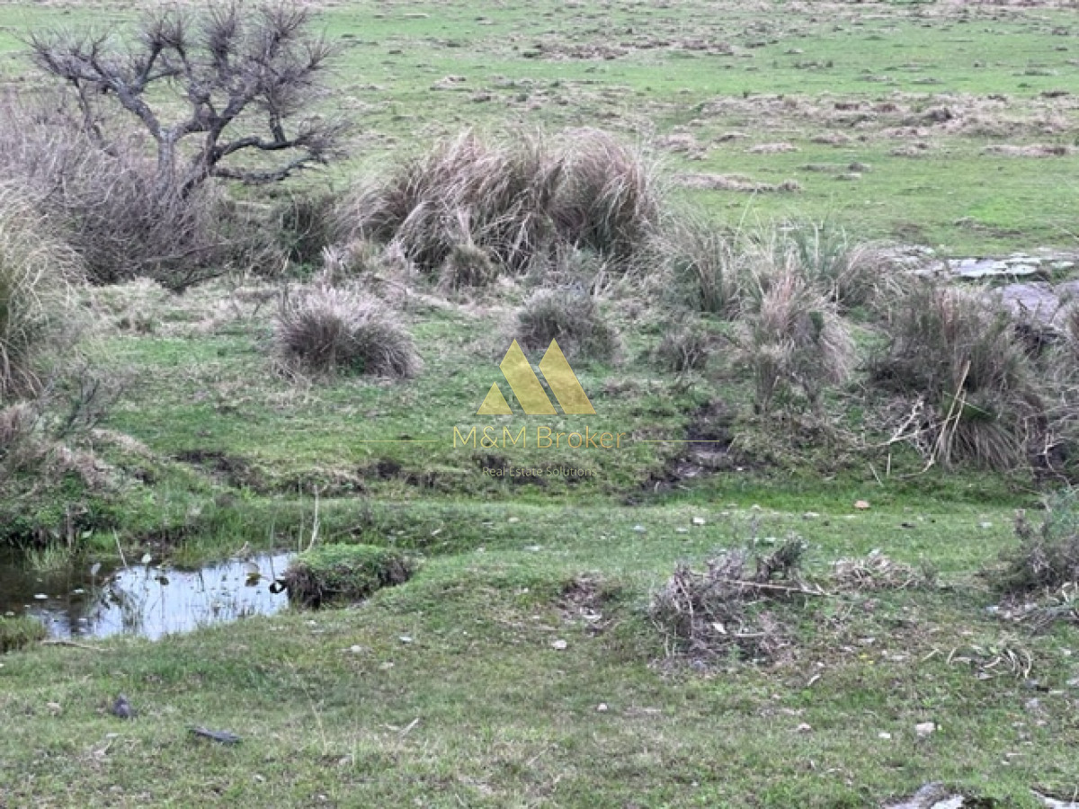 Campo Ref.348 - Campo de 22 has 6862 m2 cerca de Punta del Este