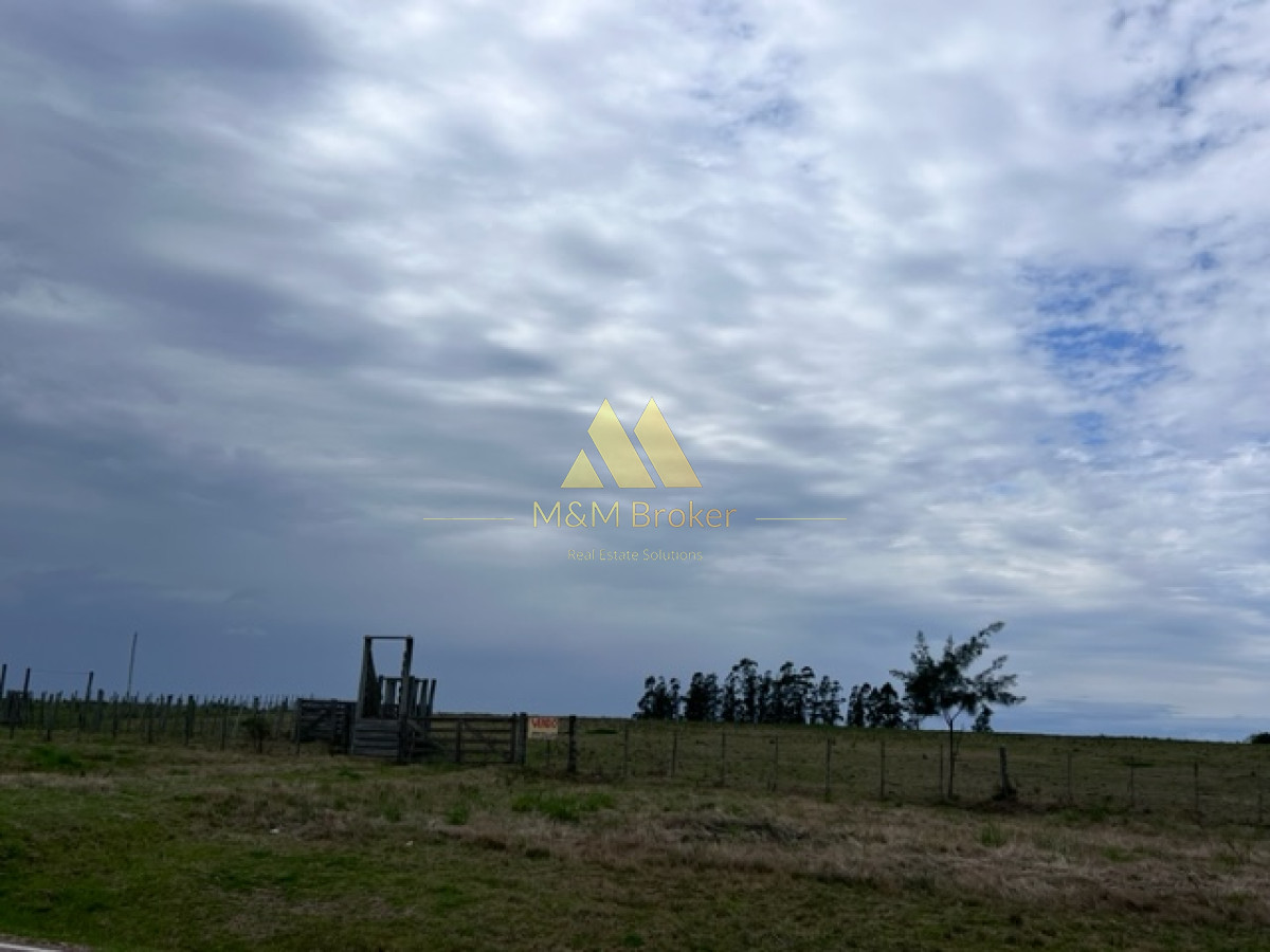 Campo Ref.348 - Campo de 22 has 6862 m2 cerca de Punta del Este
