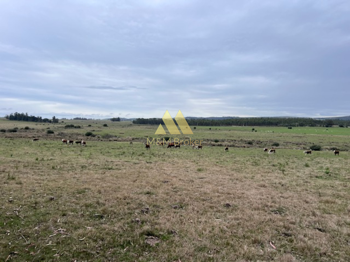 Campo Ref.348 - Campo de 22 has 6862 m2 cerca de Punta del Este