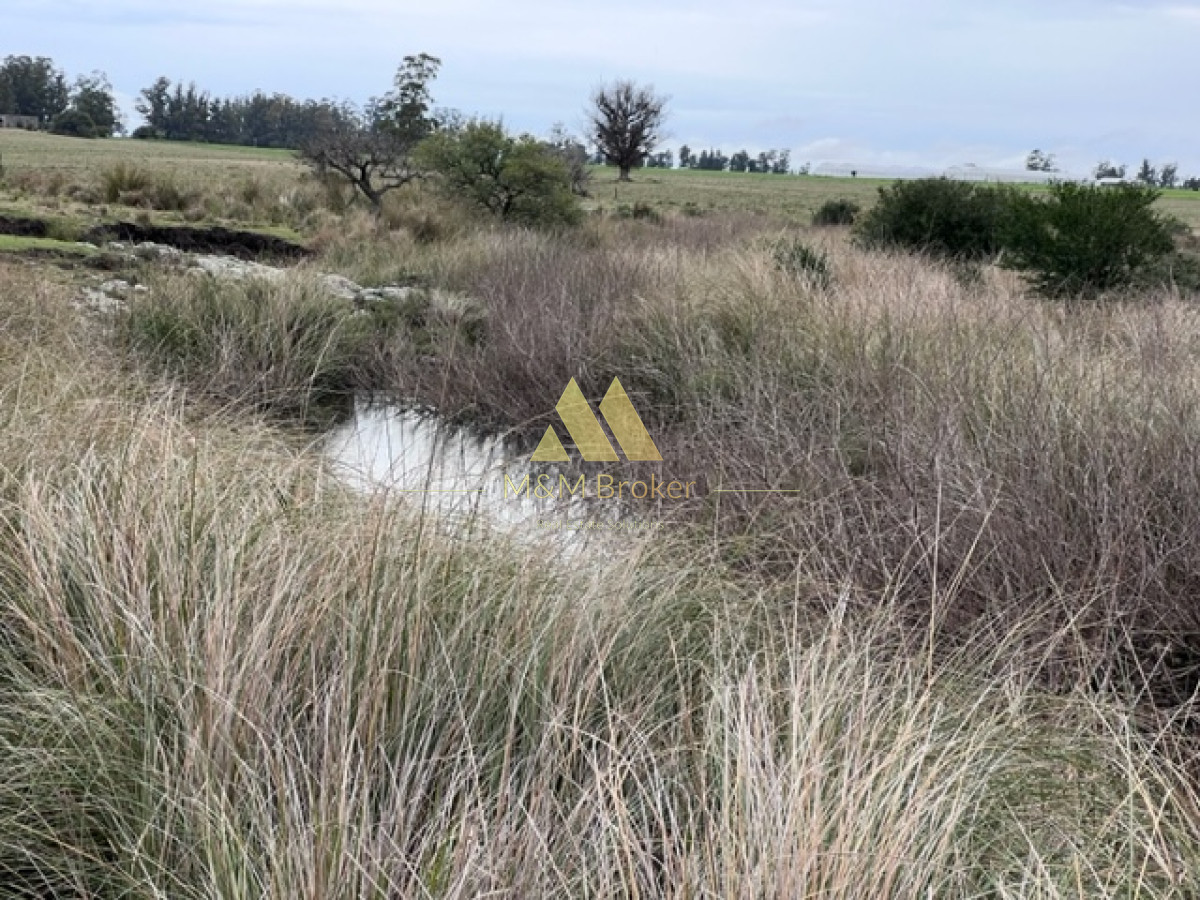 Campo Ref.348 - Campo de 22 has 6862 m2 cerca de Punta del Este