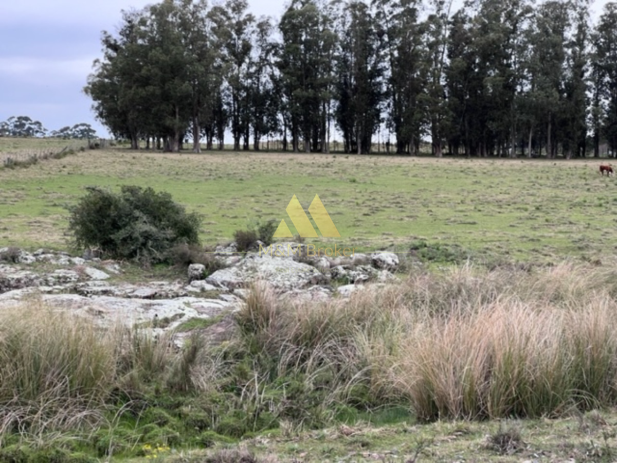 Campo Ref.348 - Campo de 22 has 6862 m2 cerca de Punta del Este