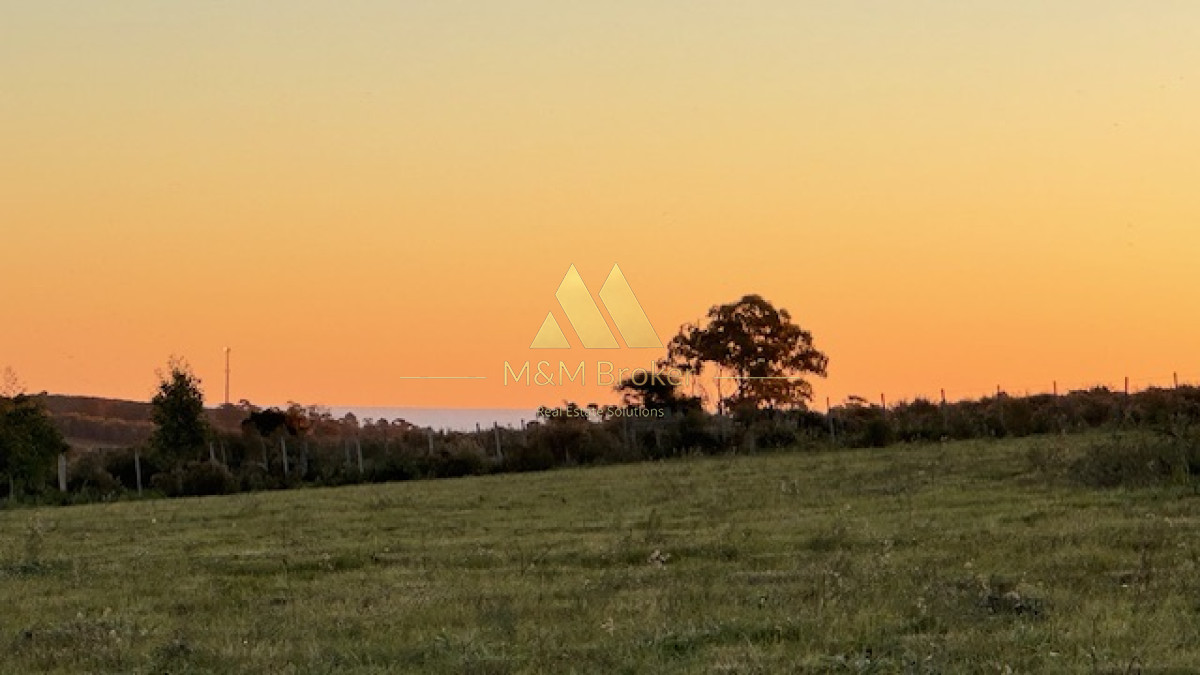 Campo Ref.375 - Chacra de 6 has con 664 m2 - cerca de Piriapolis y del parque de fauna natural