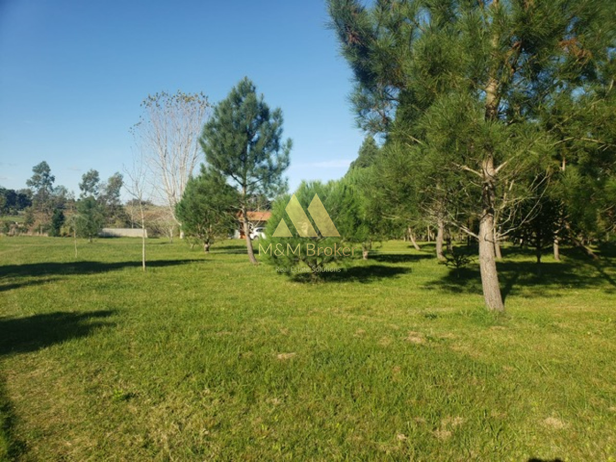 Campo Ref.385 - Chacra de 3 has con 5657 m2 en camino Benito Nardone