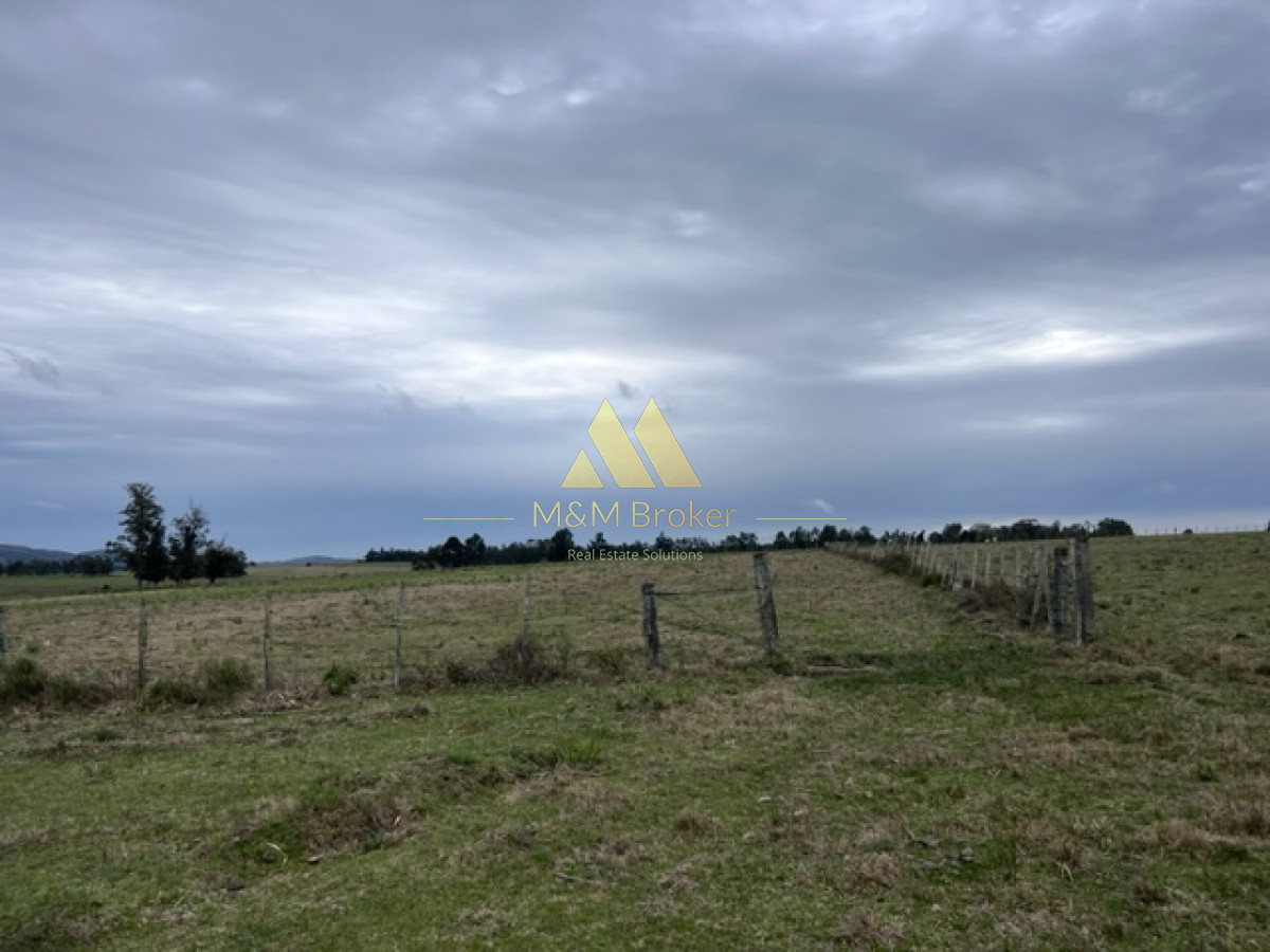 Campo Ref.348 - Campo de 22 has 6862 m2 cerca de Punta del Este