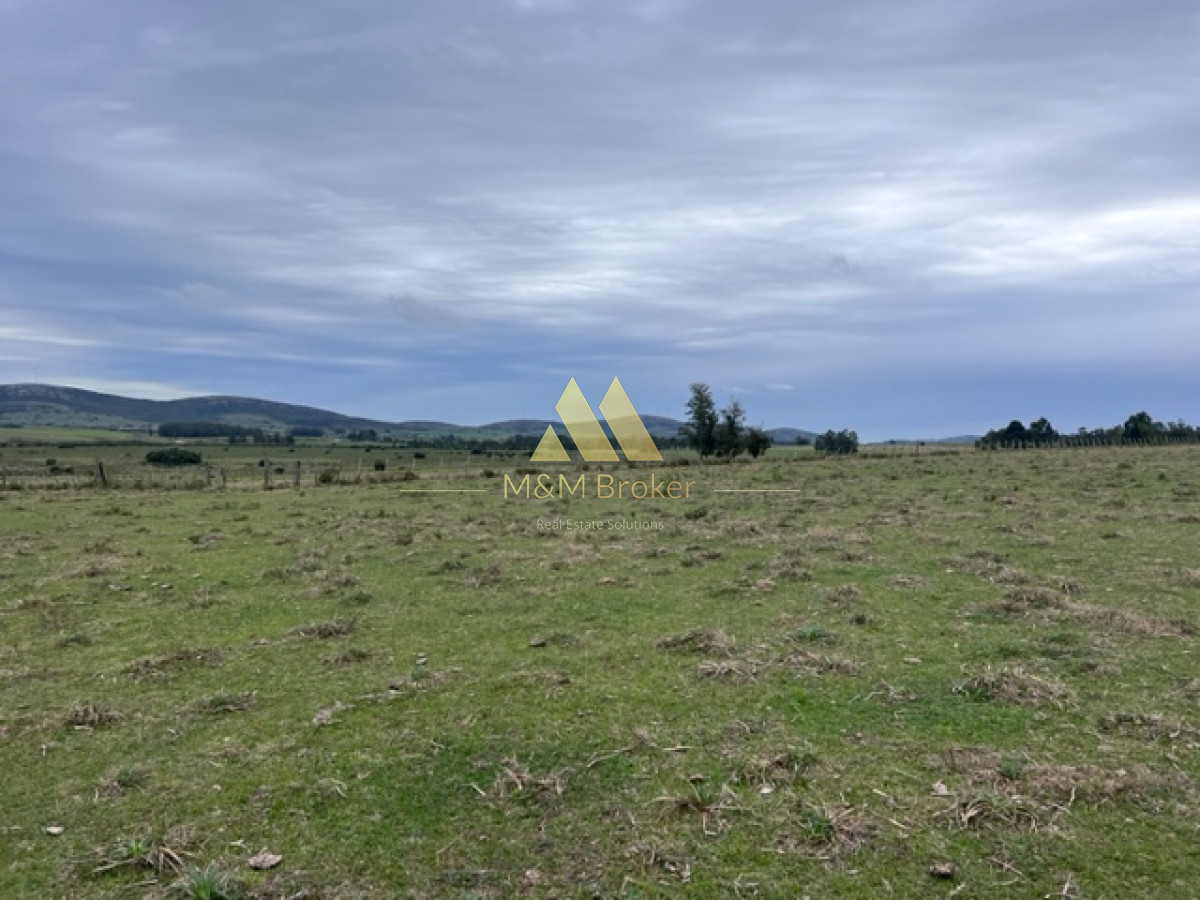 Campo Ref.348 - Campo de 22 has 6862 m2 cerca de Punta del Este