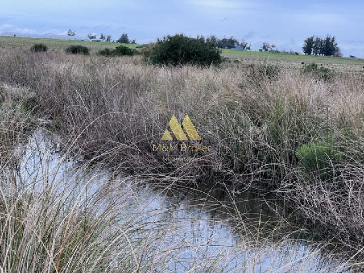 Campo Ref.348 - Campo de 22 has 6862 m2 cerca de Punta del Este