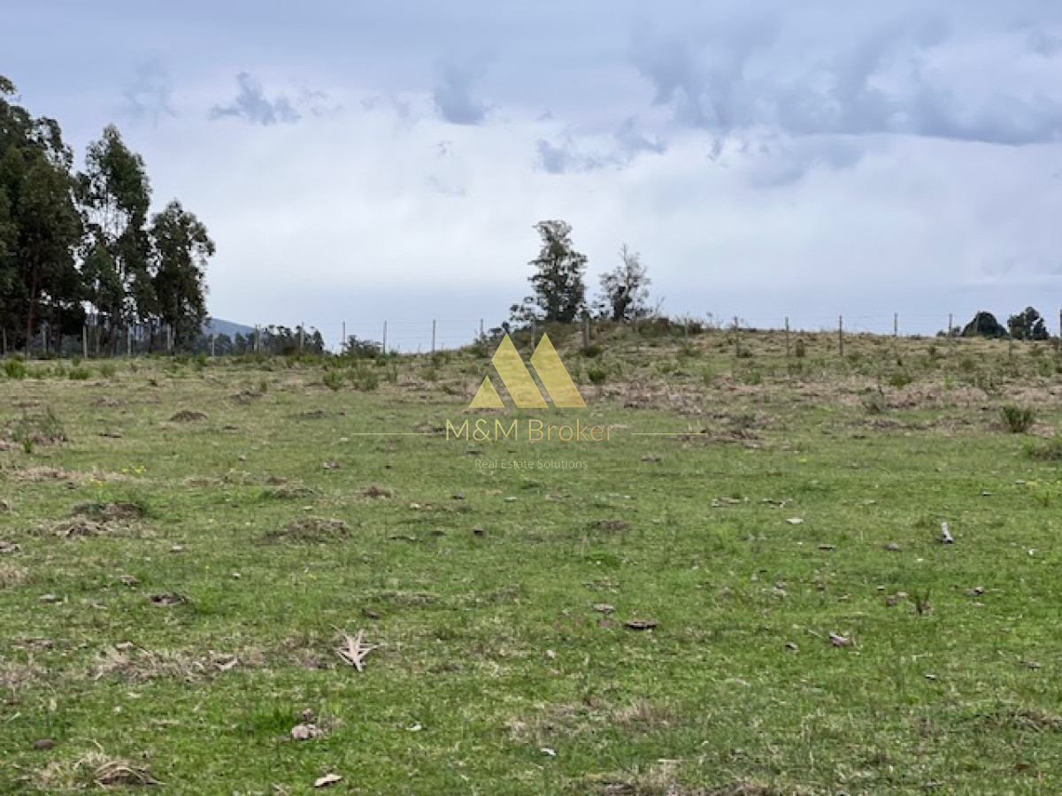 Campo Ref.348 - Campo de 22 has 6862 m2 cerca de Punta del Este