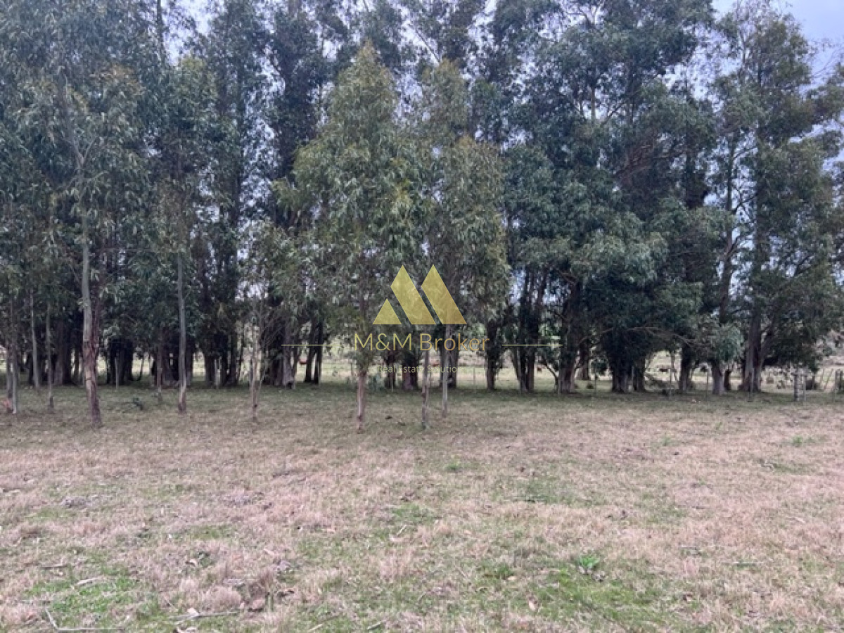 Campo Ref.348 - Campo de 22 has 6862 m2 cerca de Punta del Este