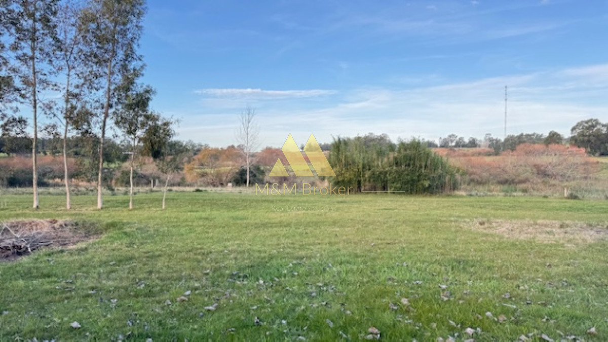 Campo Ref.385 - Chacra de 3 has con 5657 m2 en camino Benito Nardone