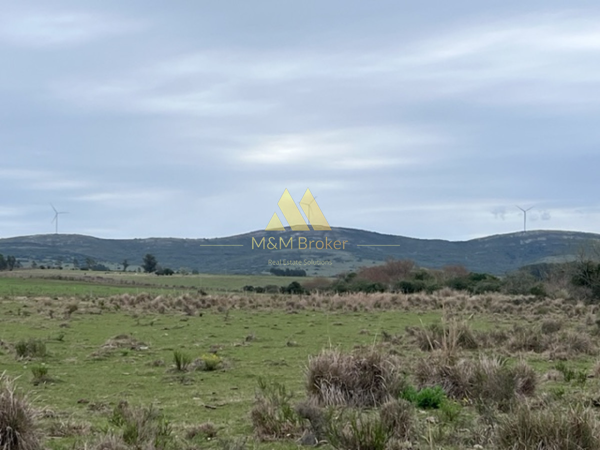 Campo Ref.348 - Campo de 22 has 6862 m2 cerca de Punta del Este