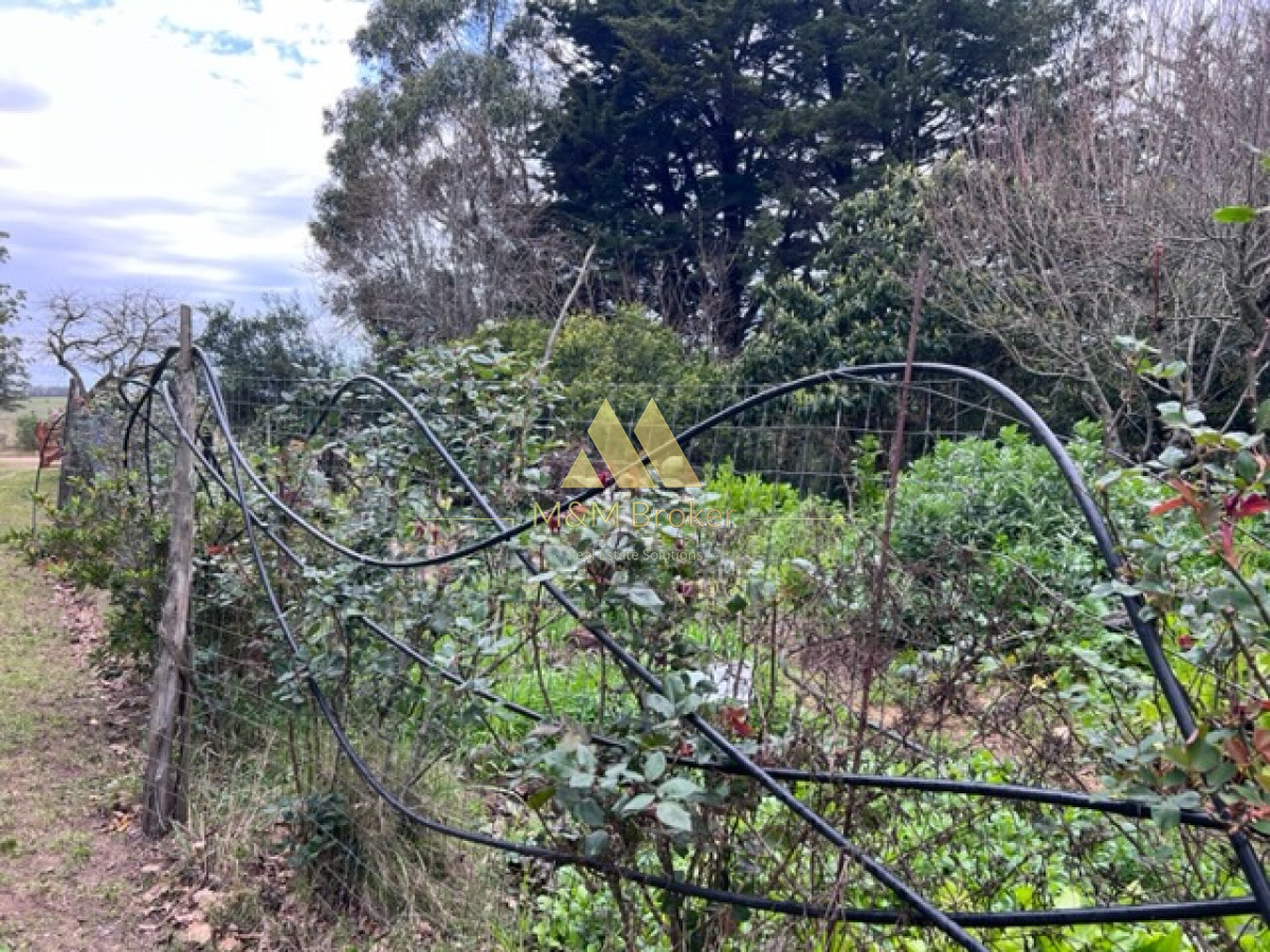 Campo Ref.348 - Campo de 22 has 6862 m2 cerca de Punta del Este