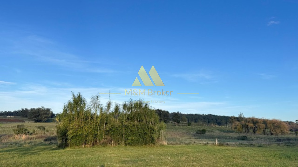 Campo Ref.385 - Chacra de 3 has con 5657 m2 en camino Benito Nardone