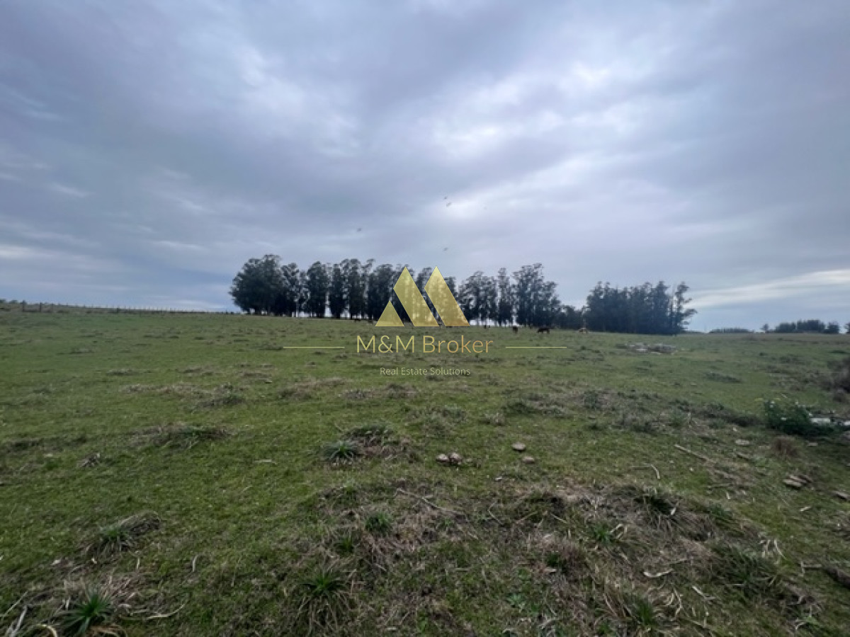 Campo Ref.348 - Campo de 22 has 6862 m2 cerca de Punta del Este