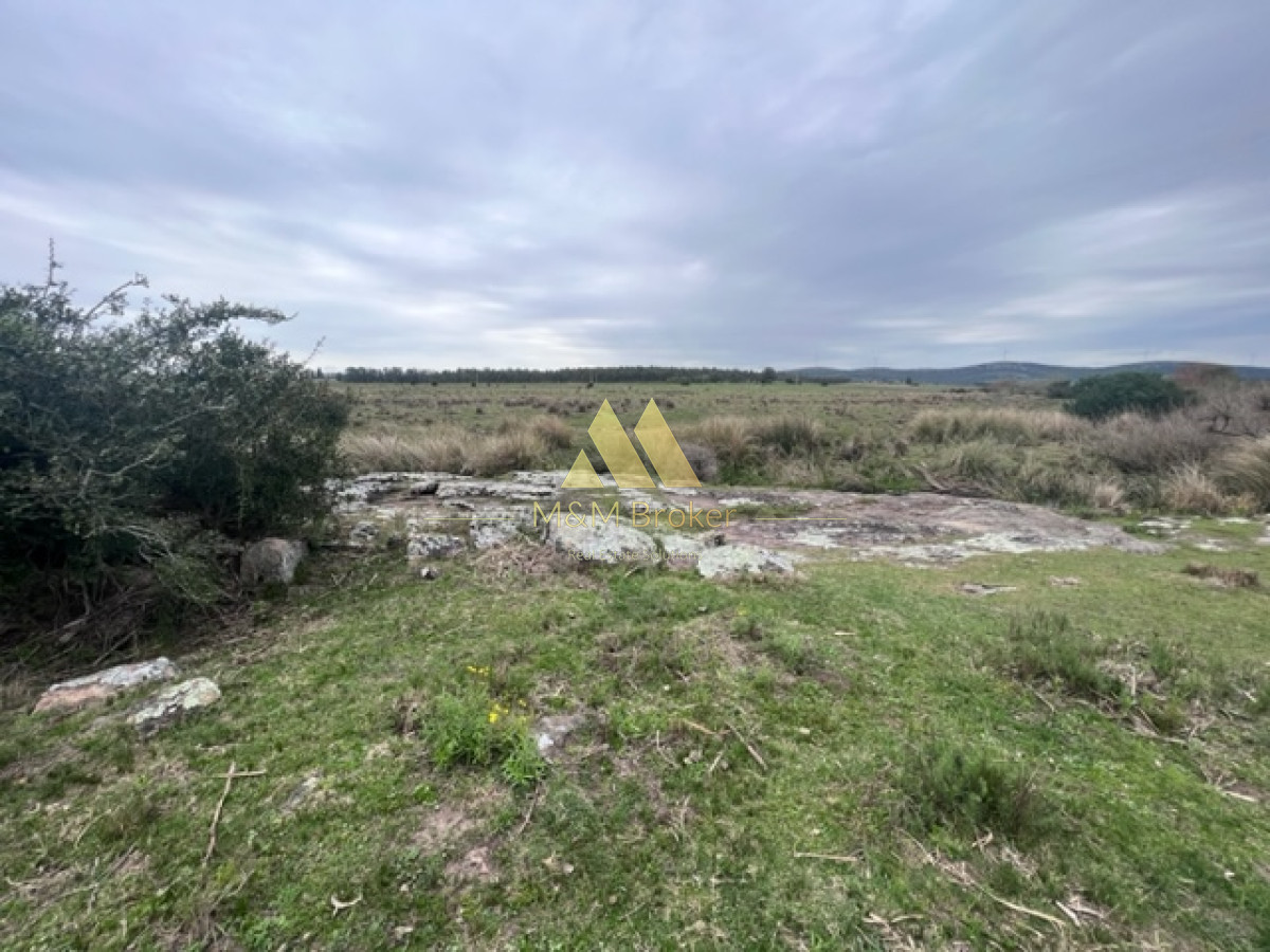 Campo Ref.348 - Campo de 22 has 6862 m2 cerca de Punta del Este