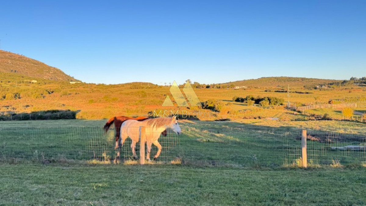 Campo Ref.375 - Chacra de 6 has con 664 m2 - cerca de Piriapolis y del parque de fauna natural