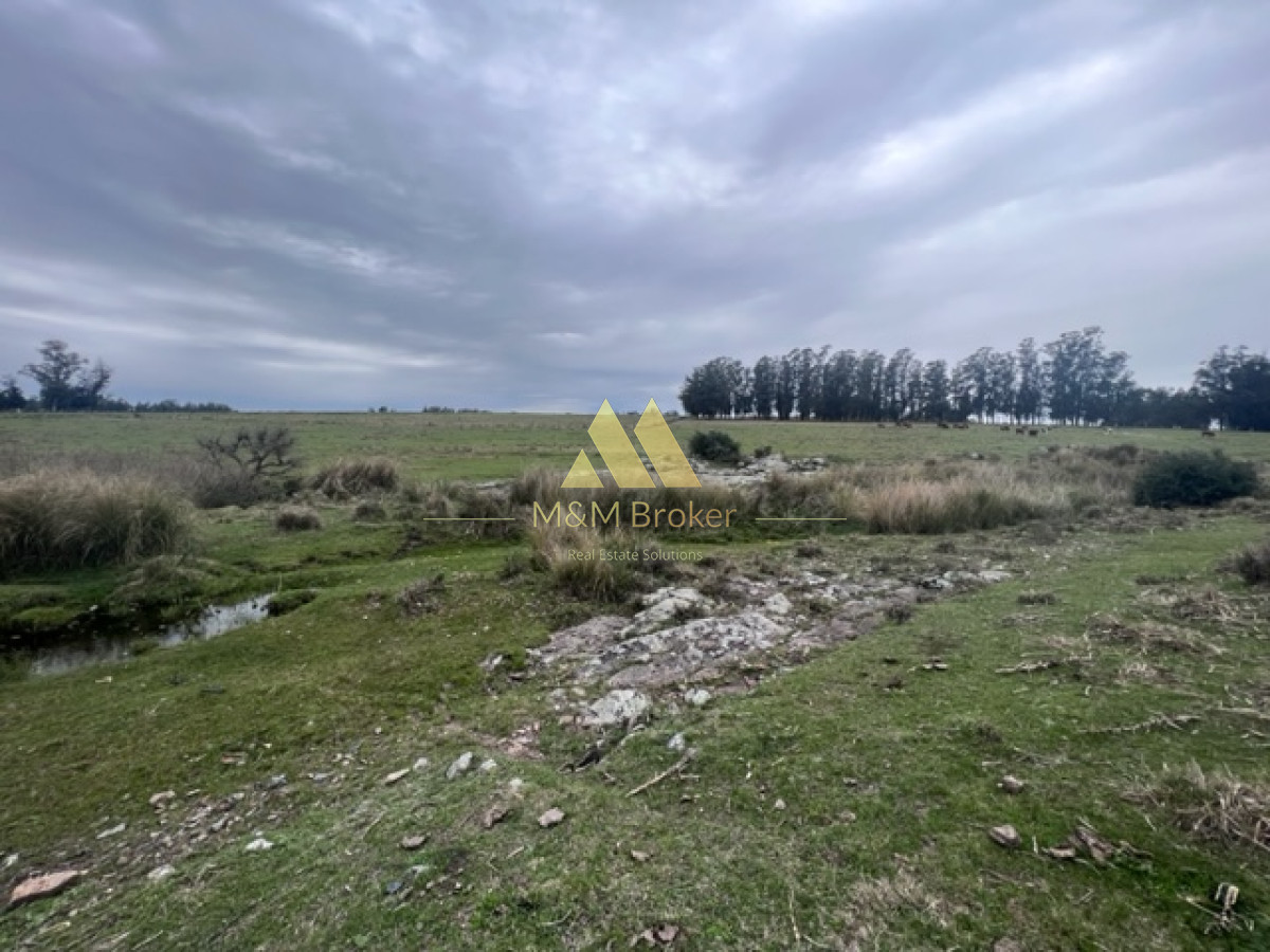 Campo Ref.348 - Campo de 22 has 6862 m2 cerca de Punta del Este
