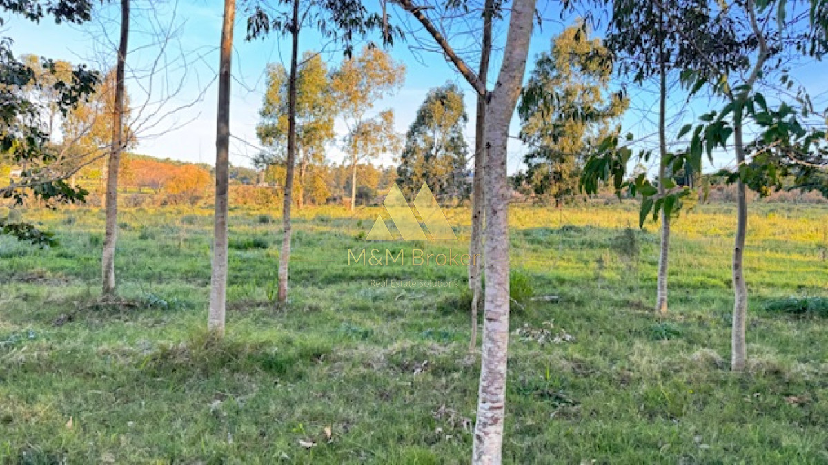 Campo Ref.385 - Chacra de 3 has con 5657 m2 en camino Benito Nardone