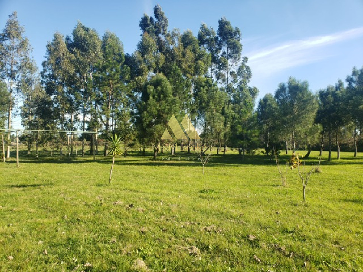 Campo Ref.385 - Chacra de 3 has con 5657 m2 en camino Benito Nardone