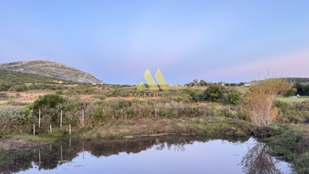 Campo Ref.375 - Chacra de 6 has con 664 m2 - cerca de Piriapolis y del parque de fauna natural