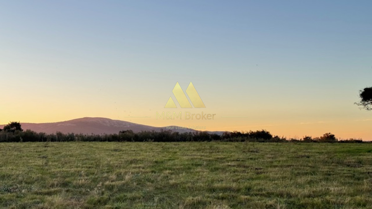 Campo Ref.375 - Chacra de 6 has con 664 m2 - cerca de Piriapolis y del parque de fauna natural
