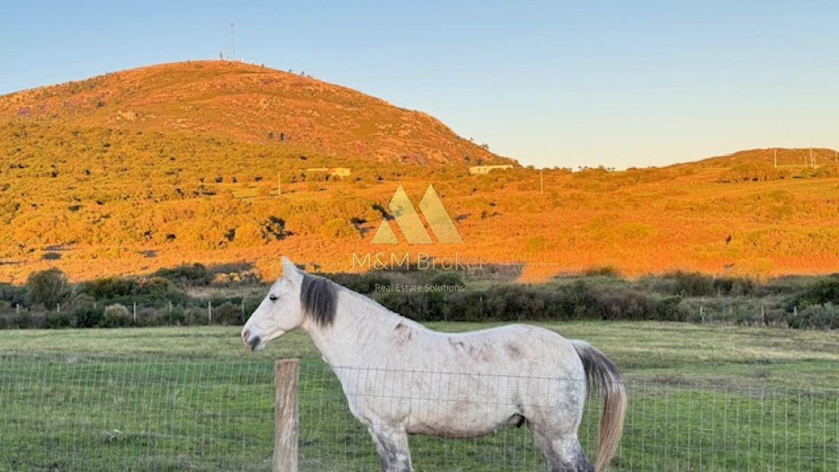 Campo Ref.375 - Chacra de 6 has con 664 m2 - cerca de Piriapolis y del parque de fauna natural