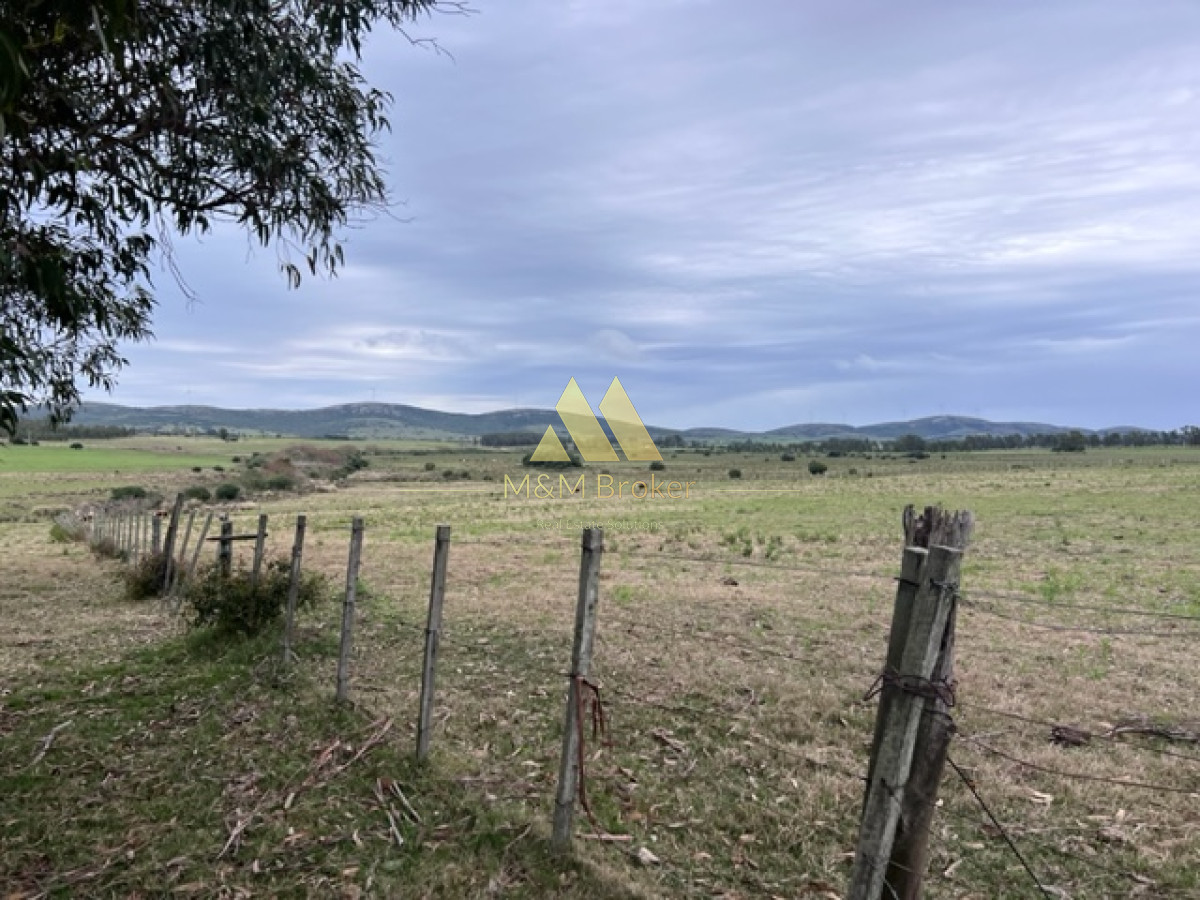 Campo Ref.348 - Campo de 22 has 6862 m2 cerca de Punta del Este