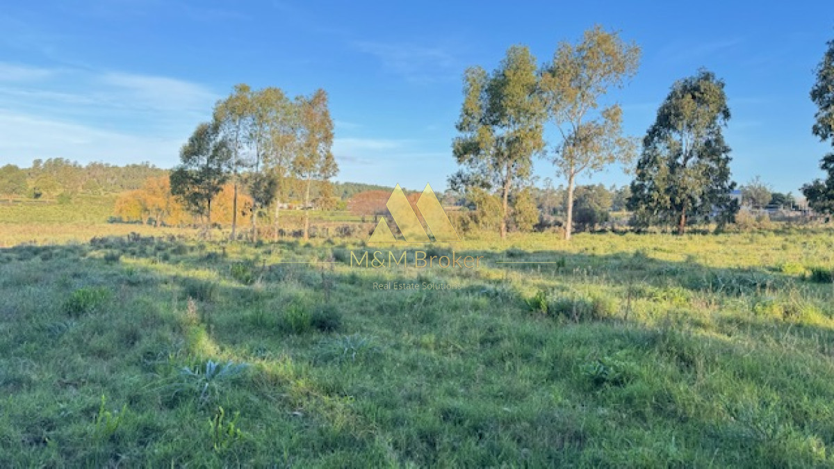 Campo Ref.385 - Chacra de 3 has con 5657 m2 en camino Benito Nardone