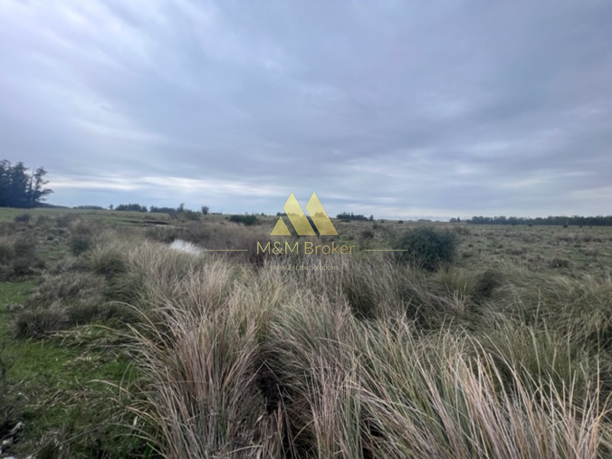 Campo Ref.348 - Campo de 22 has 6862 m2 cerca de Punta del Este