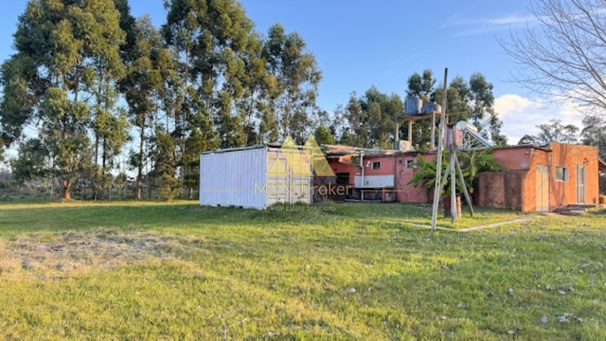 Campo Ref.385 - Chacra de 3 has con 5657 m2 en camino Benito Nardone