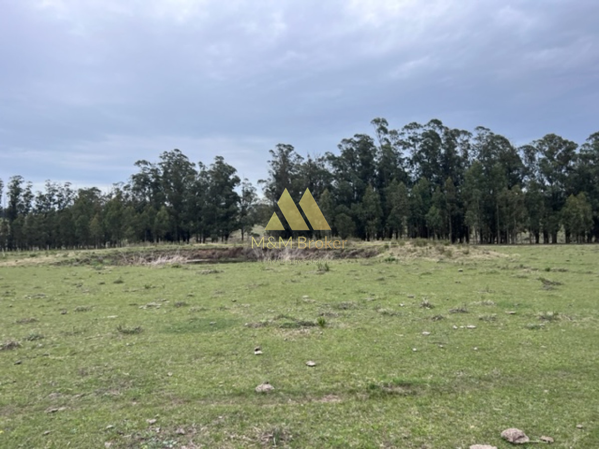Campo Ref.348 - Campo de 22 has 6862 m2 cerca de Punta del Este