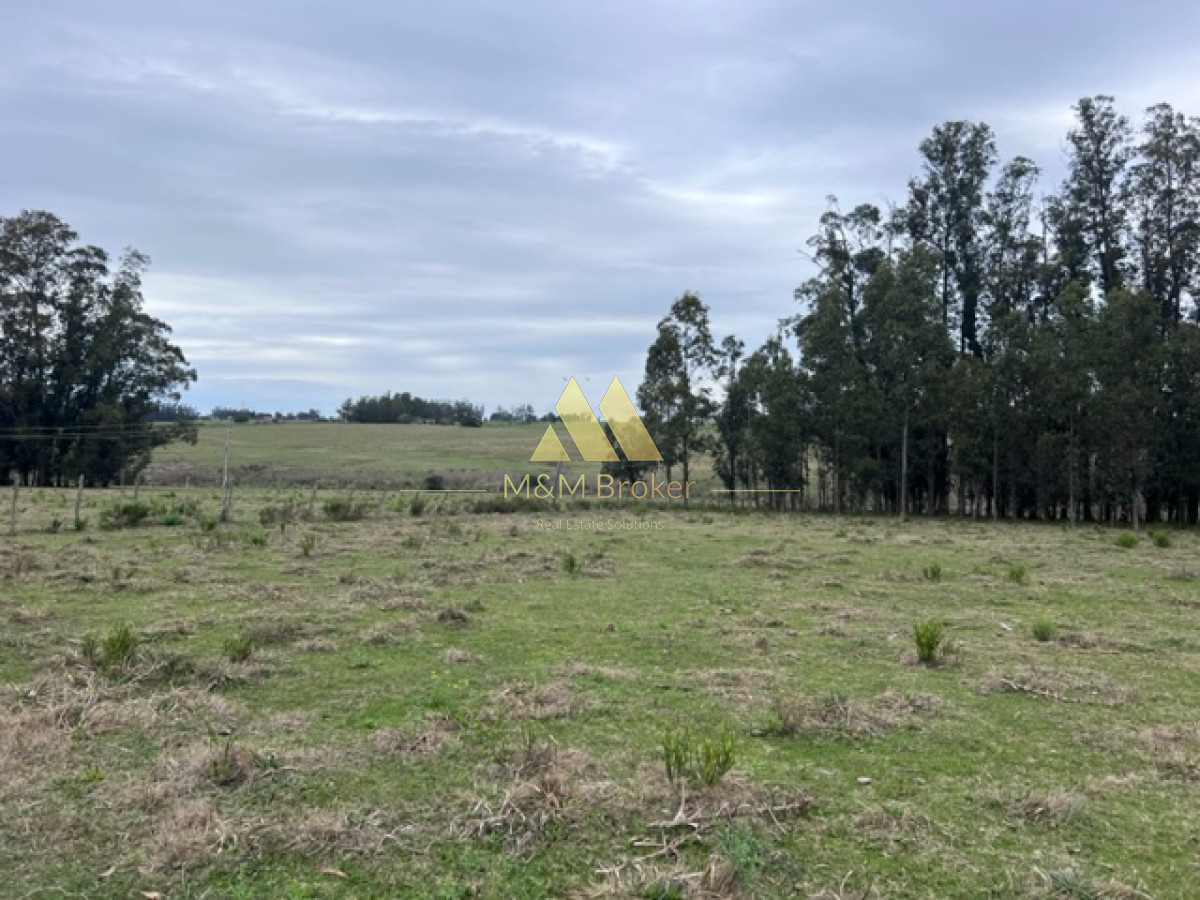 Campo Ref.348 - Campo de 22 has 6862 m2 cerca de Punta del Este