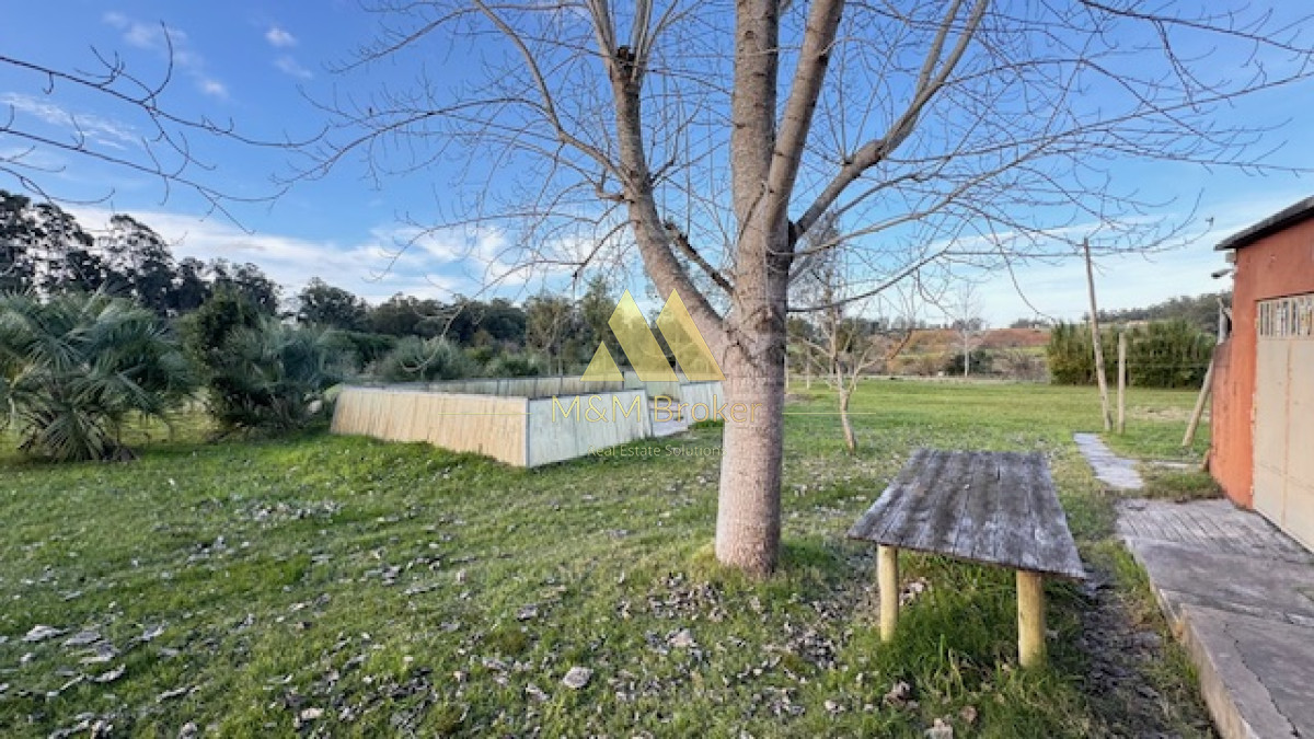 Campo Ref.385 - Chacra de 3 has con 5657 m2 en camino Benito Nardone