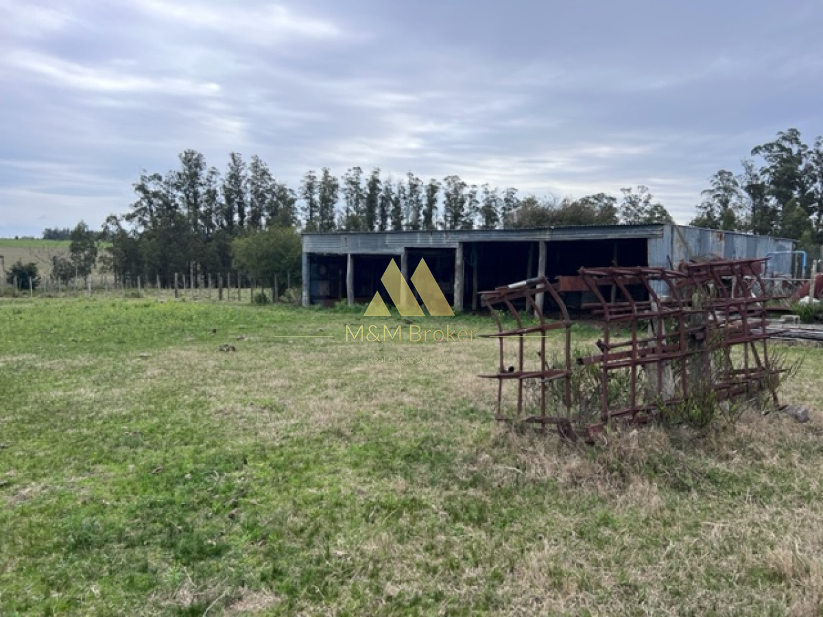 Campo Ref.348 - Campo de 22 has 6862 m2 cerca de Punta del Este
