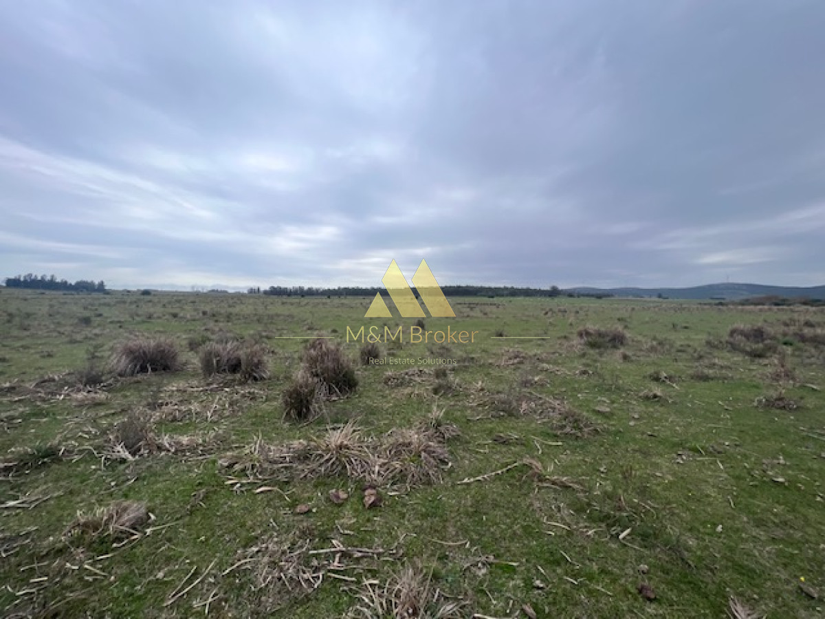 Campo Ref.348 - Campo de 22 has 6862 m2 cerca de Punta del Este