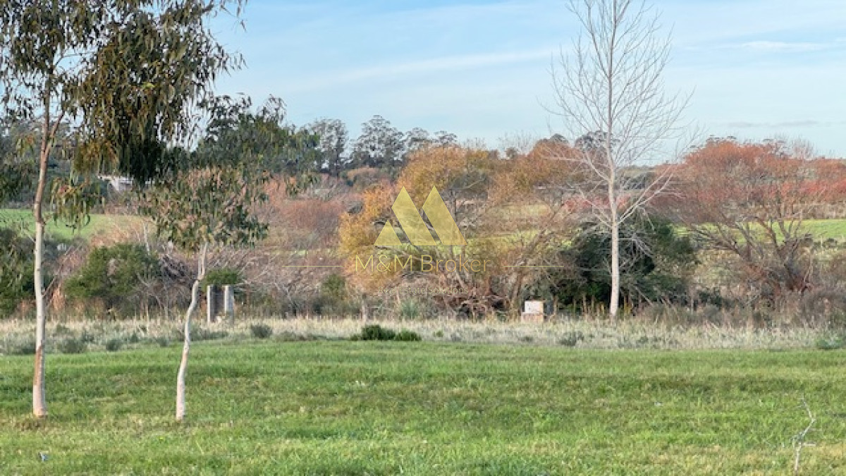 Campo Ref.385 - Chacra de 3 has con 5657 m2 en camino Benito Nardone