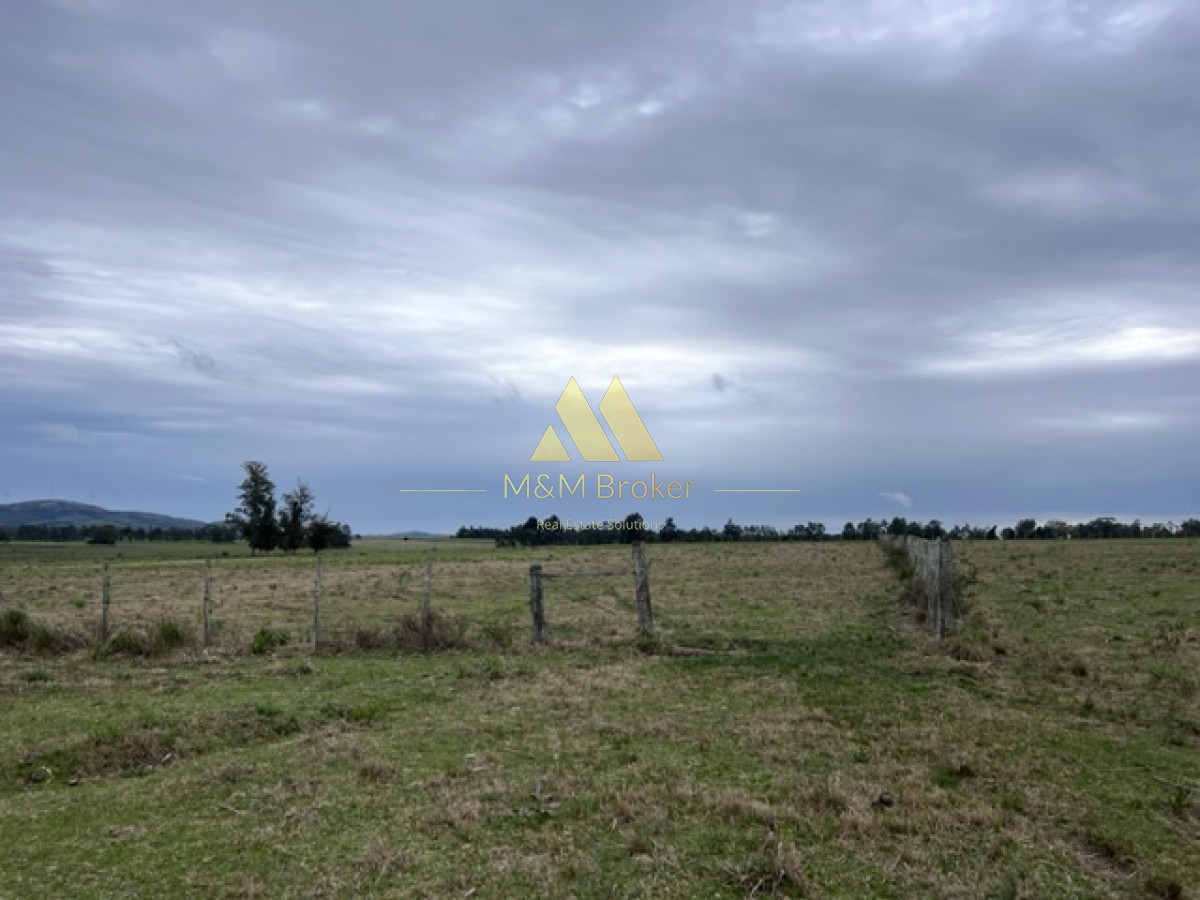Campo Ref.348 - Campo de 22 has 6862 m2 cerca de Punta del Este
