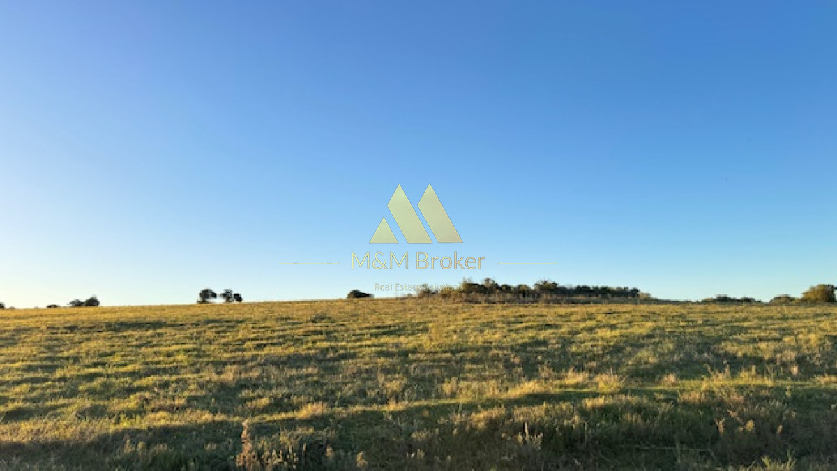 Campo Ref.375 - Chacra de 6 has con 664 m2 - cerca de Piriapolis y del parque de fauna natural