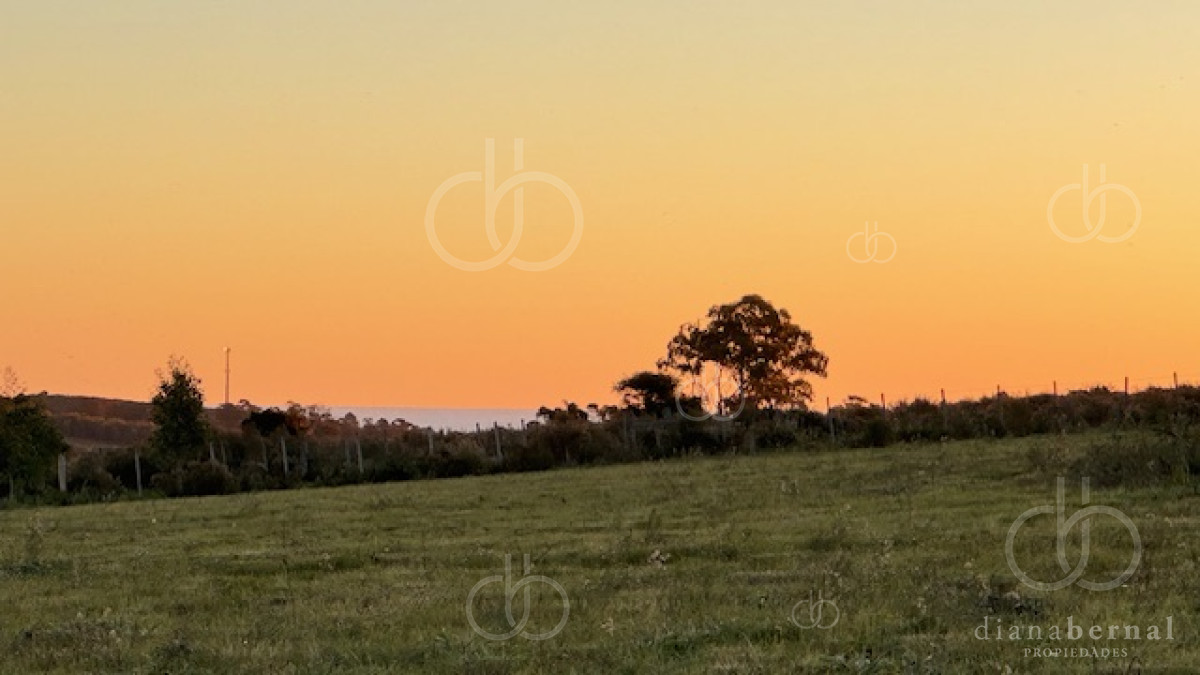 Chacra de 6 has con 664 m2   cerca de Piriapolis y del parque de fauna natural - GoPunta - Portal Inmobiliario de Punta del Este - Maldonado