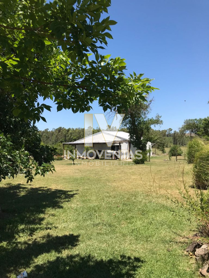 Chacra ID.319 - Chacra muy cerca de Ruta 104 y camino Eguzquiza, casa y piscina. Consulte!!!!