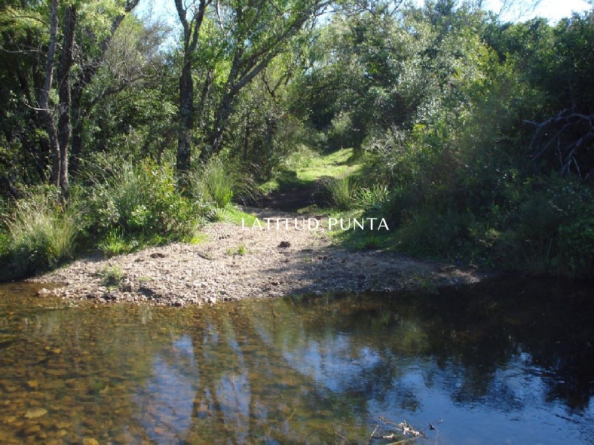 Campo 98 has con 2891 m2 en Carape cuenta con costa de arroyo. - GoPunta - Portal Inmobiliario de Punta del Este - Maldonado