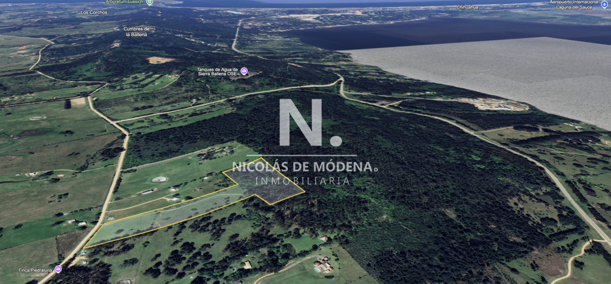 Campo de 5 has con 4658 m2 en La Pataia  - NDM30386H