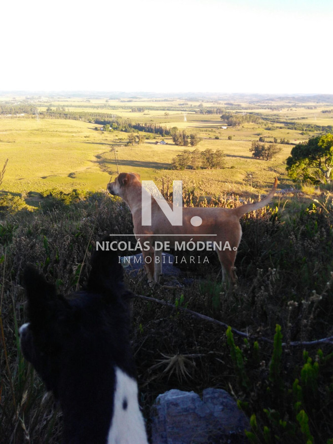 Campo de 38 hs con 8690 m2  limite de maldonado y lavalleja   Consulte !!!! - GoPunta - Portal Inmobiliario de Punta del Este - Maldonado