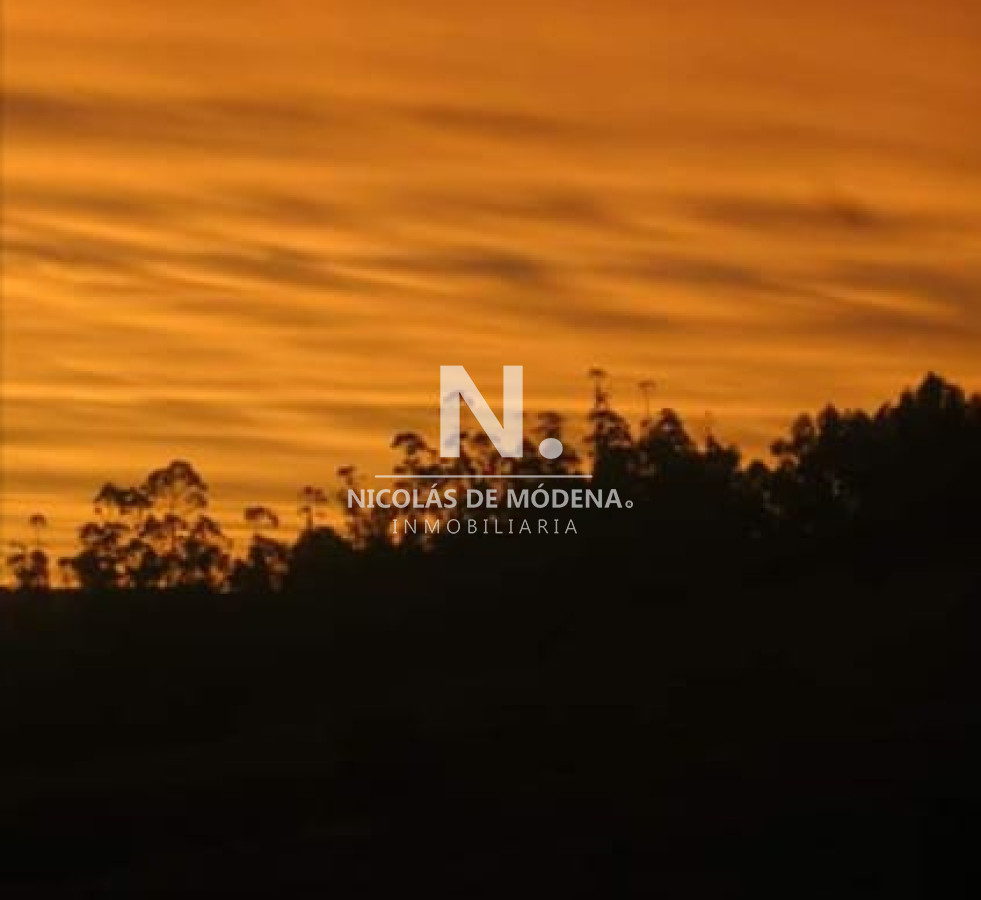 Campo de 38 hs con 8690 m2  limite de maldonado y lavalleja   Consulte !!!! - GoPunta - Portal Inmobiliario de Punta del Este - Maldonado